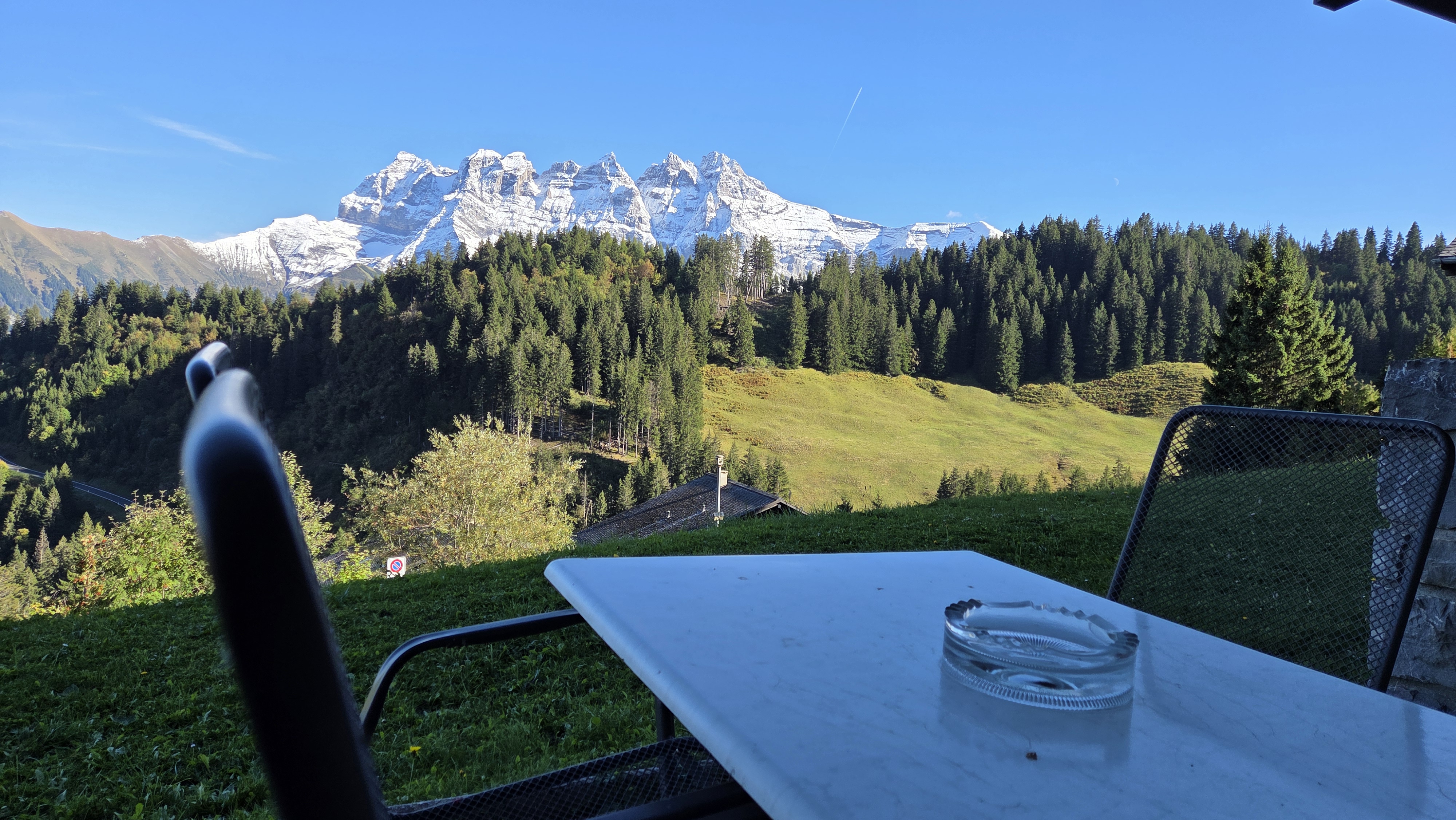 Ecureuil terrasse photo 11