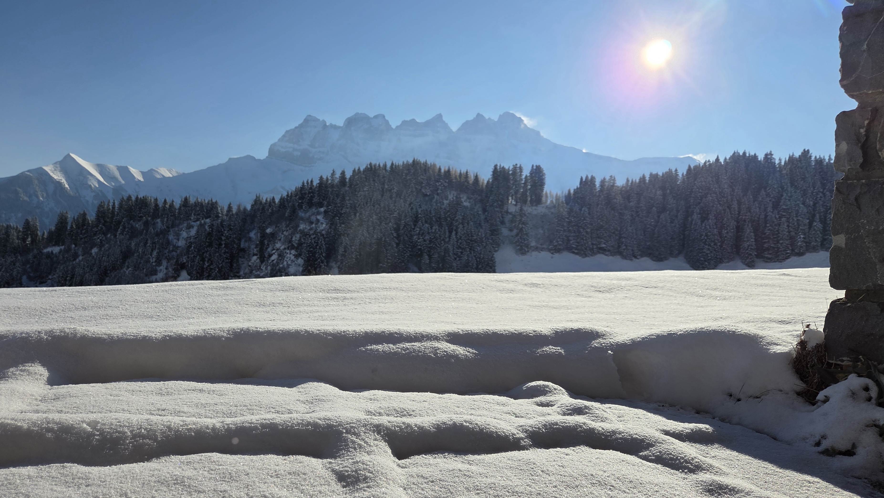 Ecureuil terrasse photo 12