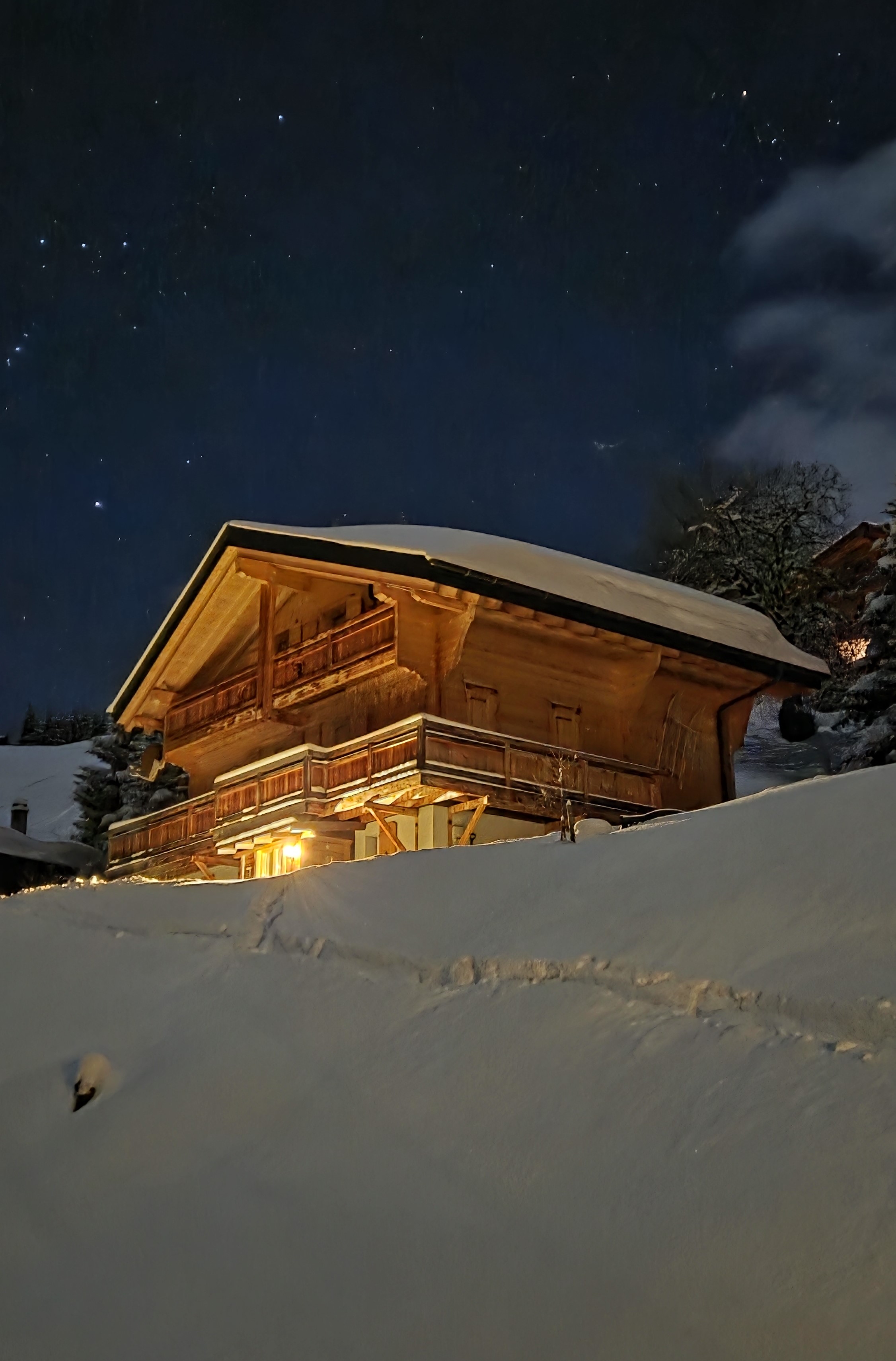 Ecureuil Champoussin Portes du Soleil Valais Suisse hiver