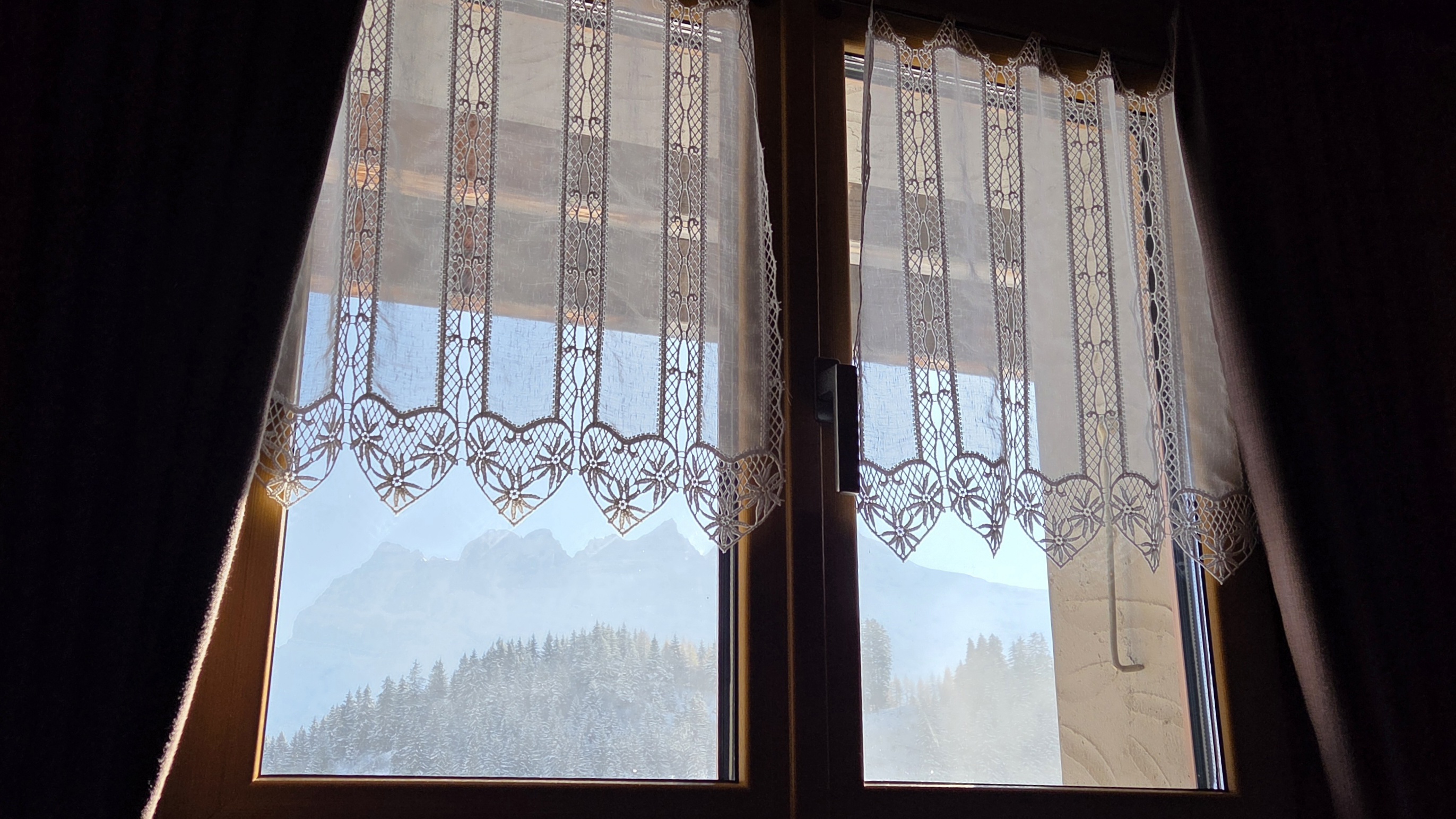 Ecureuil chambre 1 fenetre photo 6