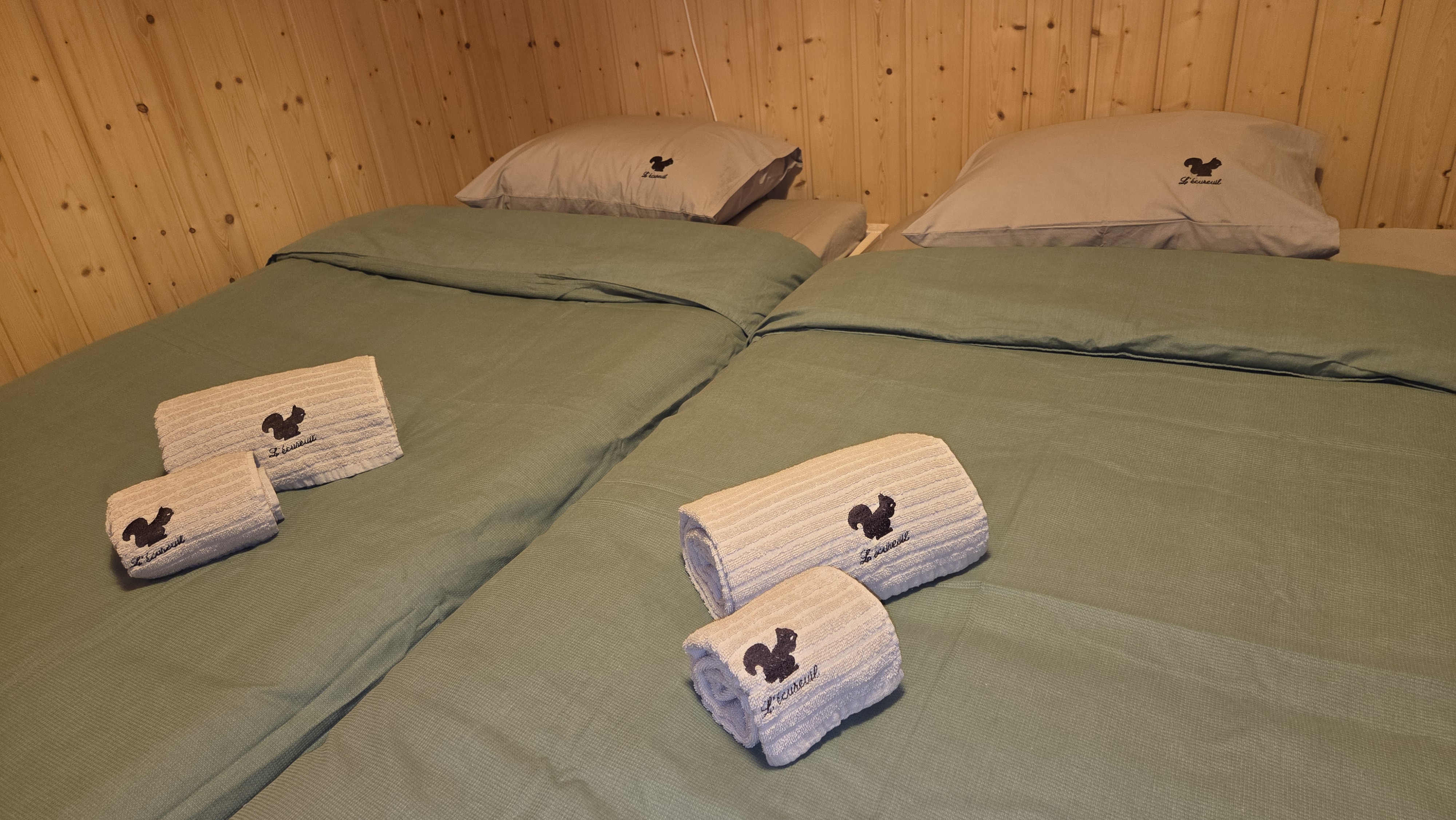 Ecureuil salle chambre 2 photo 9