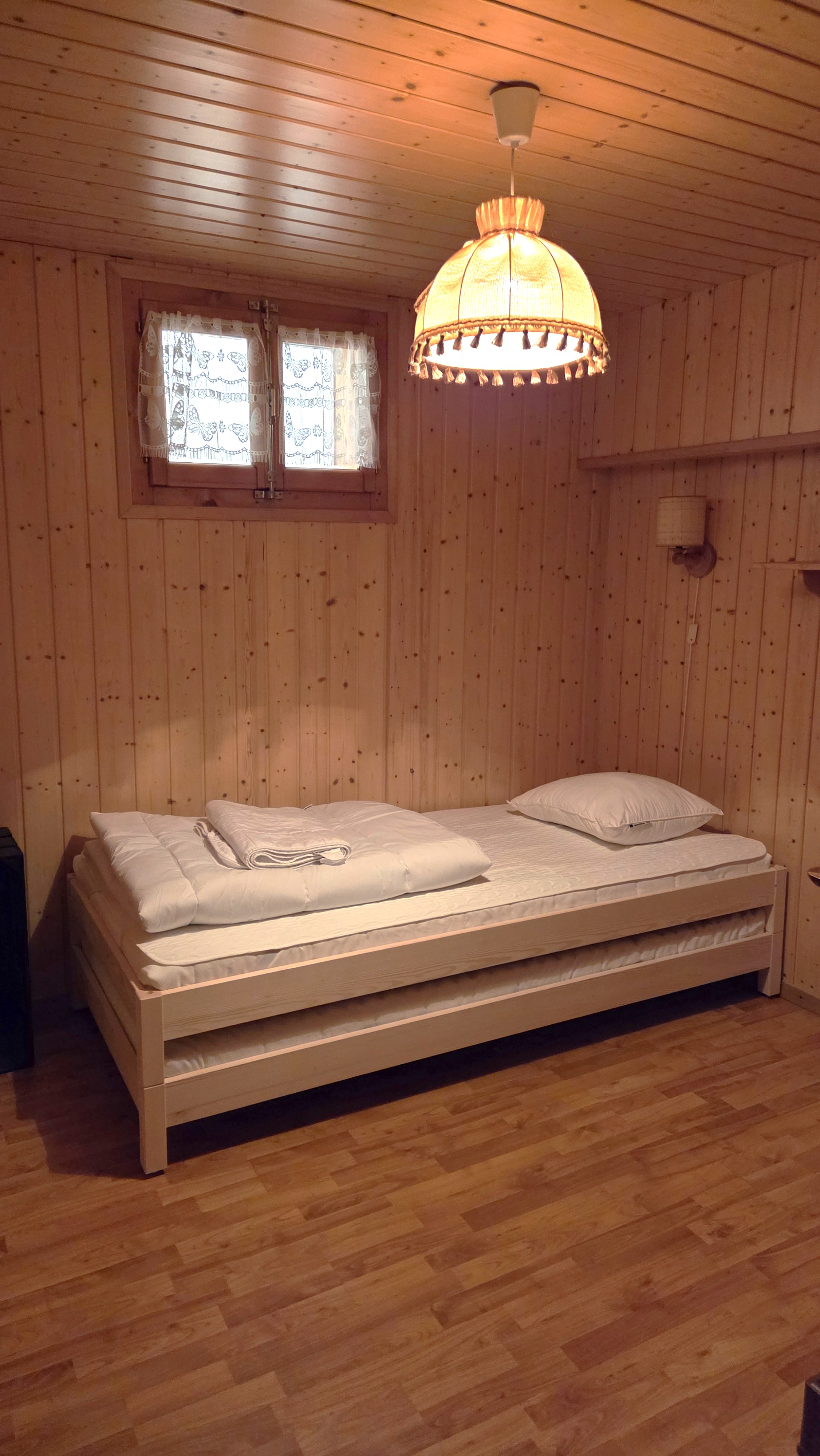 Ecureuil salle chambre 2 photo 9